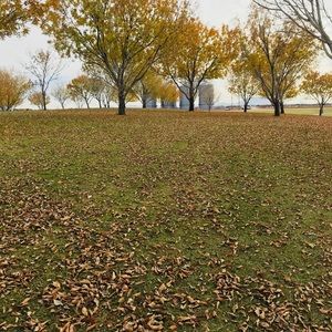 Meet your Posher, Bailey